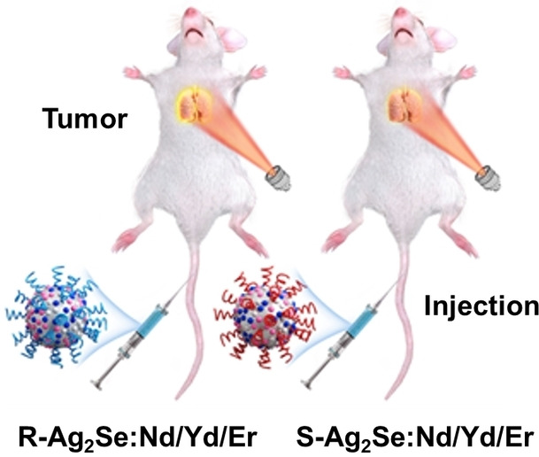 Enantiomeric NIR-II Emitting Rare-Earth-Doped Ag2Se Nanoparticles with Differentiated In Vivo Imaging Efficiencies