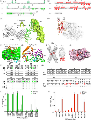 Details are in the caption following the image Details are in the caption following the image