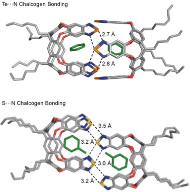 Supramolecular Capsules: Strong versus Weak Chalcogen Bonding