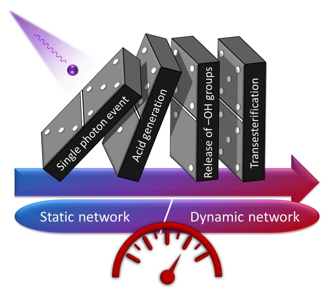 On-Demand Activation of Transesterification by Chemical Amplification in Dynamic Thiol-Ene Photopolymers