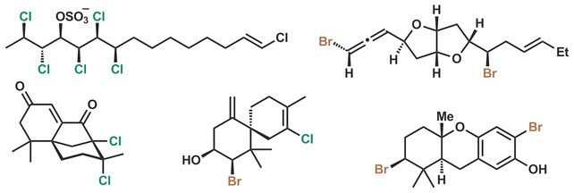 Stereoselektive Halogenierungen in der Naturstoffsynthese