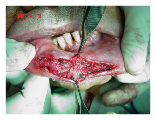 Details are in the caption following the image Details are in the caption following the image