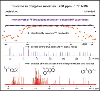 Comprehensive and High-Throughput Exploration of Chemical Space Using Broadband 19F NMR-Based Screening