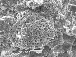 High Temperature Cyclic Oxidation Resistance of Iron Chromium Base Alloys