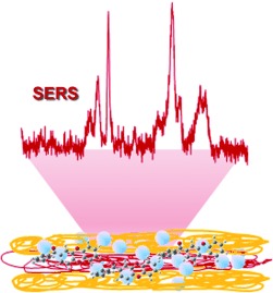 Loading of Exponentially Grown LBL Films with Silver Nanoparticles and Their Application to Generalized SERS Detection