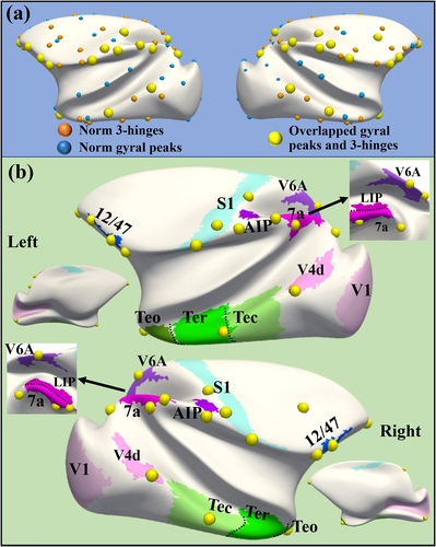 Details are in the caption following the image Details are in the caption following the image
