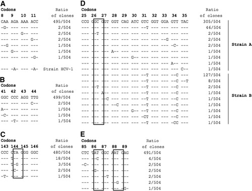 Details are in the caption following the image Details are in the caption following the image