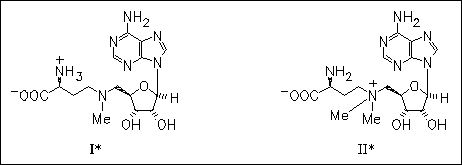 chemical structure image