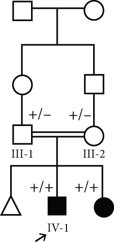 Details are in the caption following the image