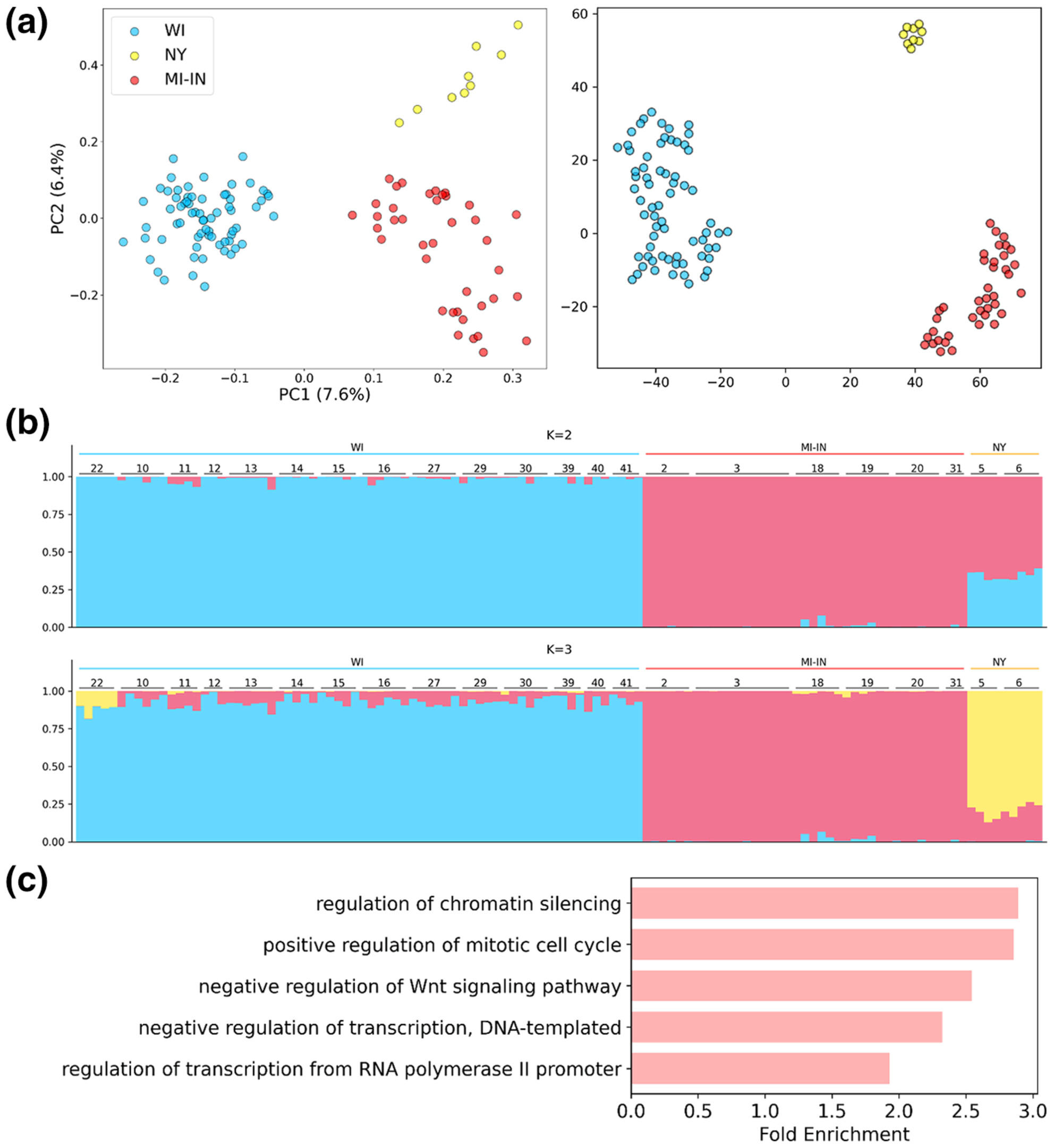 Range-wide population genomic structure of the Karner blue butterfly, Plebejus (Lycaeides) samuelis