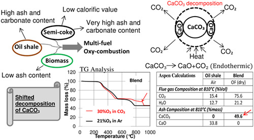 Thermogravimetric analysis and process simulation of oxy-fuel combustion of blended fuels including oil shale, semicoke, and biomass