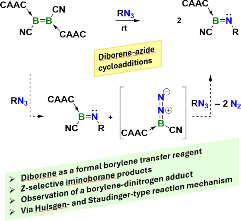 Experimental Observation of a Terminal Borylene-Dinitrogen Adduct via Cleavage of a 1,2,3,4,5-Diboratriazoline