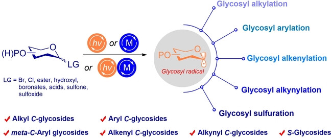 Diversification of Glycosyl Compounds via Glycosyl Radicals