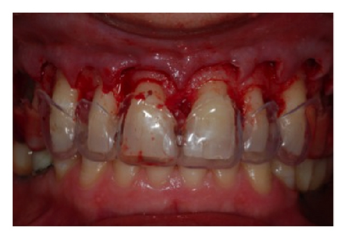 Details are in the caption following the image Details are in the caption following the image