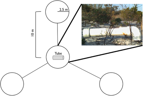 Details are in the caption following the image Details are in the caption following the image