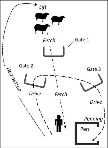 Details are in the caption following the image Details are in the caption following the image