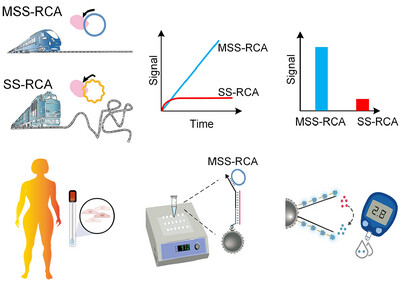 Special RCA based sensitive point-of-care detection of HPV mRNA for cervical cancer screening Issue 4, 2024