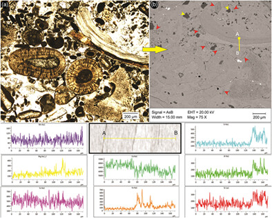 The physical and geochemical character of the post-depositional alterations in the Early-Middle Jurassic carbonates on the western margin of the Indian Plate: Implications for cement morphologies and dolomitization