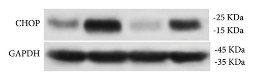 Details are in the caption following the image