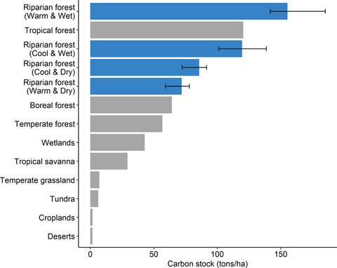 Carbon sequestration in riparian forests: A global synthesis and meta-analysis