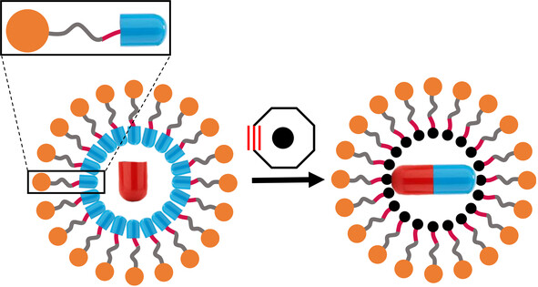 Click-and-Release Formation of Urea Bonds in Living Cells Enabled by Micelle Nanoreactors