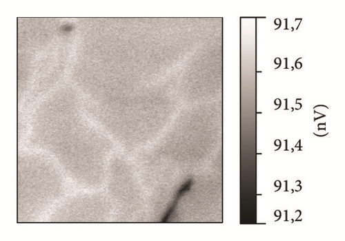 Details are in the caption following the image