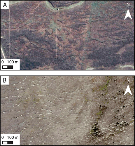 Details are in the caption following the image Details are in the caption following the image