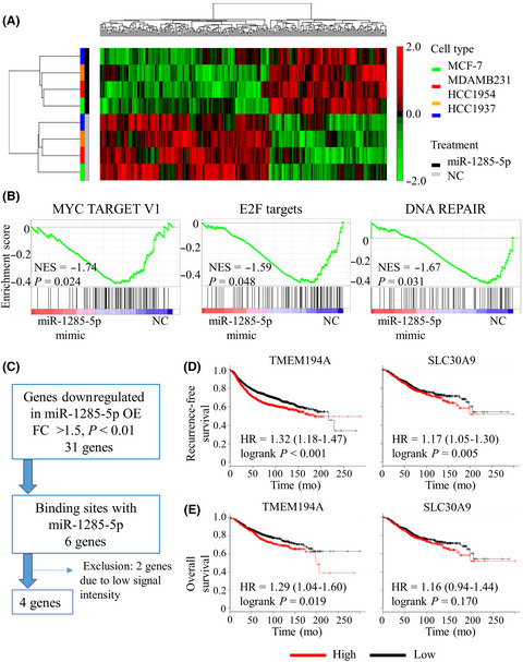 MiR-1285-5p/TMEM194A axis affects cell proliferation in breast cancer