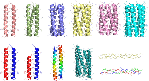 Details are in the caption following the image Details are in the caption following the image