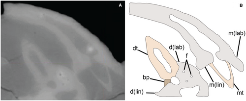 Details are in the caption following the image