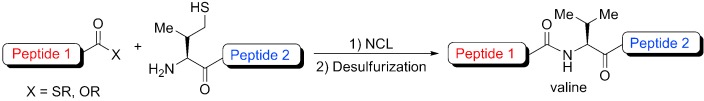 Native Chemical Ligation at Valine: A Contribution to Peptide and Glycopeptide Synthesis