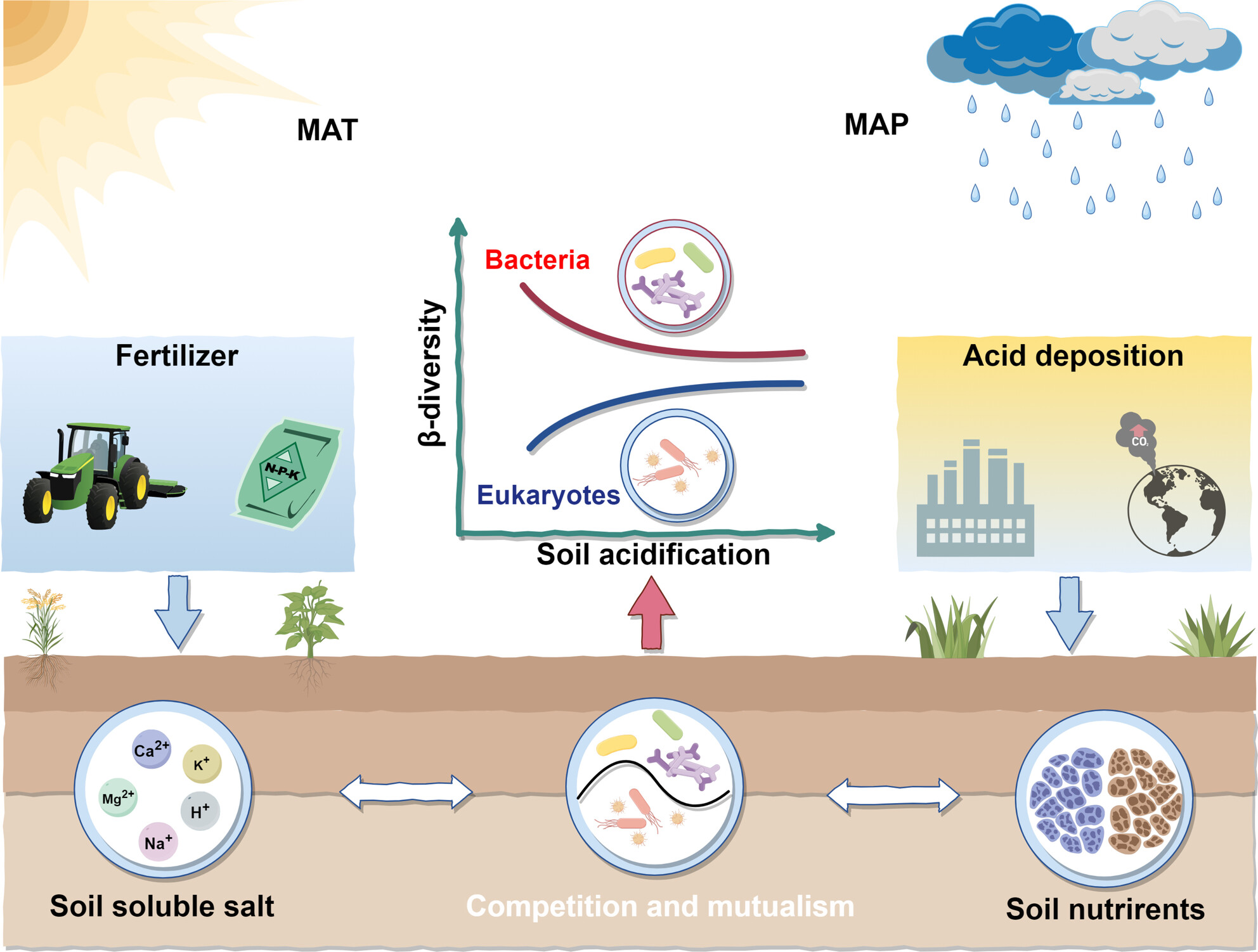 Soil Acidification Destabilizes Terrestrial Ecosystems via Decoupling Soil Microbiome