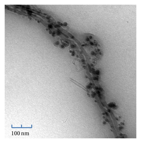 Details are in the caption following the image