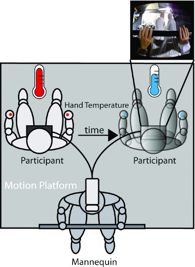 Binding body and self in visuo-vestibular conflicts