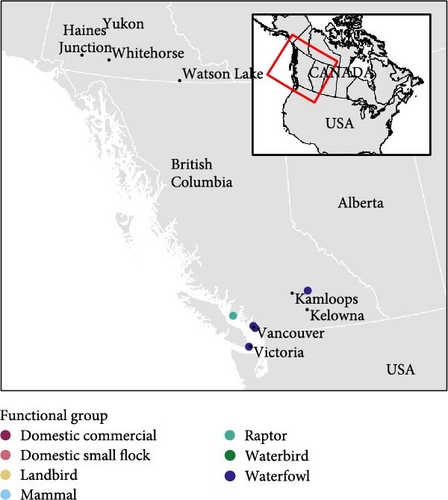 Details are in the caption following the image