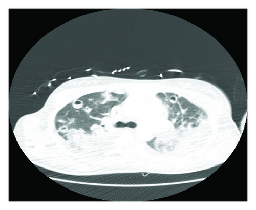 Details are in the caption following the image Details are in the caption following the image