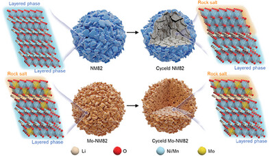 Molybdenum-Doped Cobalt-Free Cathode Realizing the Electrochemical Stability by Enhanced Covalent Bonding
