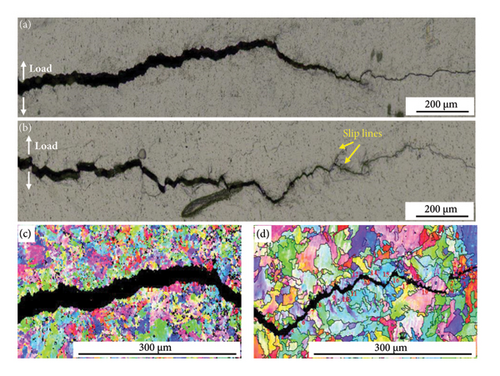 Details are in the caption following the image Details are in the caption following the image