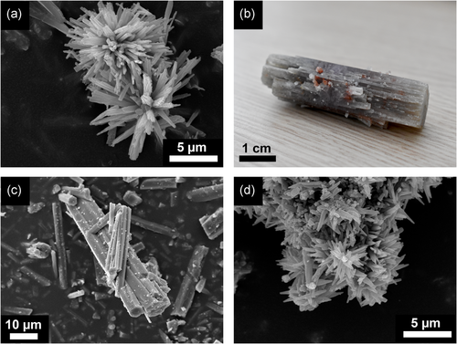 Details are in the caption following the image