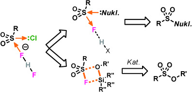Schwefel(VI)-fluorid-Austausch (SuFEx): Eine weitere gute Anwendung für die Click-Chemie