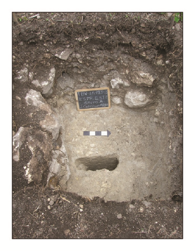 Details are in the caption following the image Details are in the caption following the image