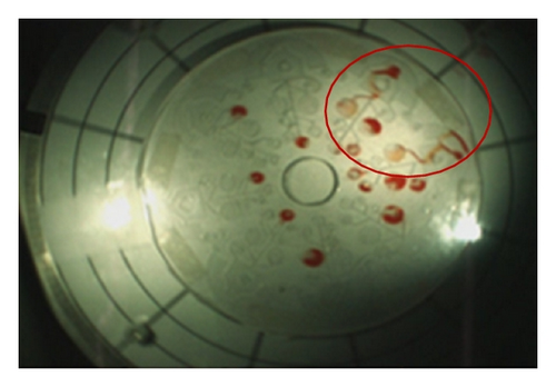 Details are in the caption following the image