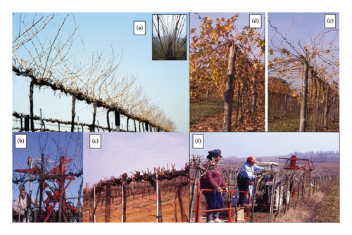 Details are in the caption following the image