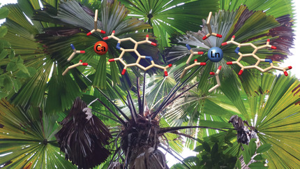 Essenziell und weitverbreitet: Lanthanoid-Metalloproteine