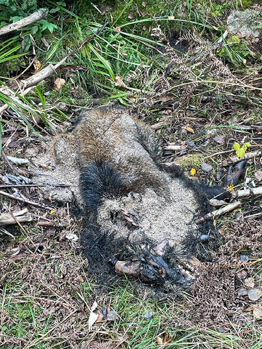 Details are in the caption following the image