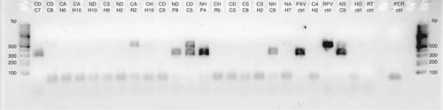 Details are in the caption following the image Details are in the caption following the image