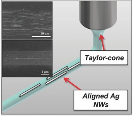 Direct Alignment and Patterning of Silver Nanowires by Electrohydrodynamic Jet Printing