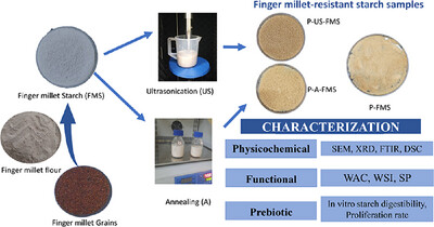 Characterization of Resistant Starch From Eleusine coracana and Evaluation of Its Prebiotic Potential