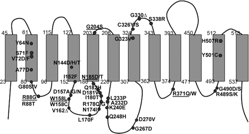 Details are in the caption following the image Details are in the caption following the image