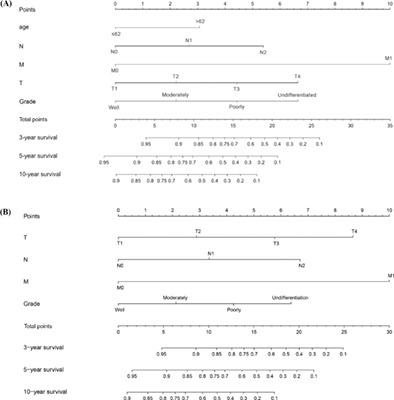 Prognostic analysis and establishment of a nomogram in patients with myoepithelial carcinoma of the salivary gland: A population-based study